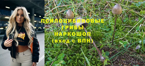 молекула духа Бабаево