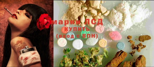 ECSTASY Белая Холуница