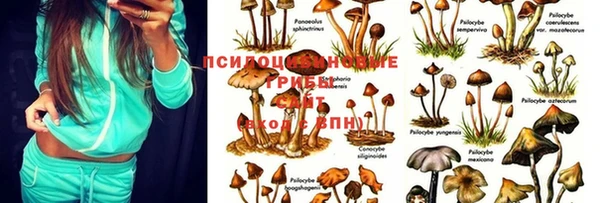гашиш Ахтубинск