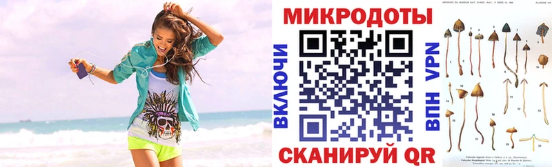 Псилоцибиновые грибы мухоморы  хочу наркоту  Заволжск 